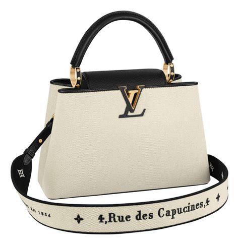 is lv capucines worth it|louis vuitton capucines bag price.